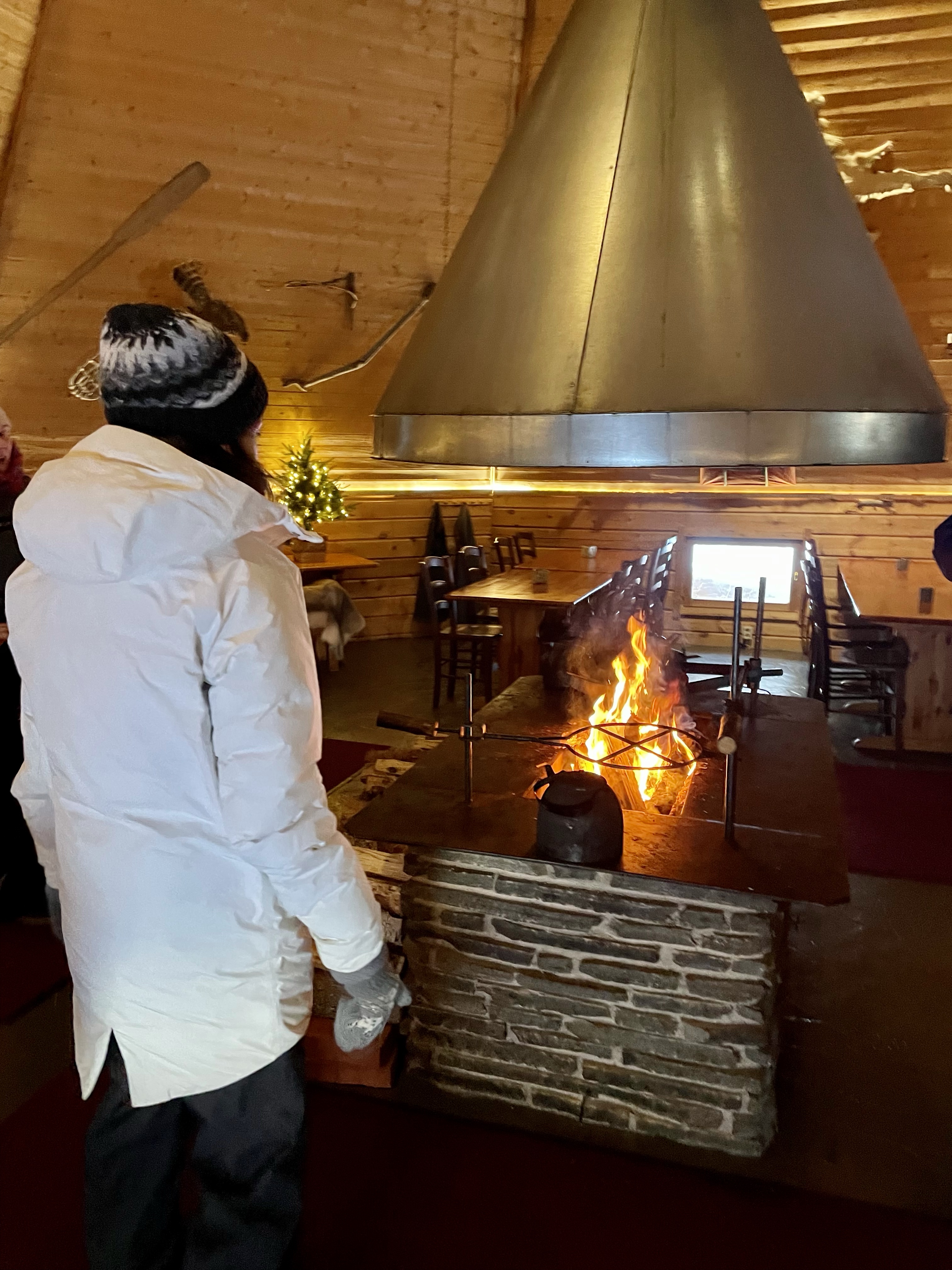 Renifery, renifer, przjażdżka, sanie, Laponia, Finlandia, Zwierzę Mocy Renifer, znaczenie, przesłanie, co to znaczy, symbolika, symbol, Kolorowe Bogate Soczyste, podróże,kobieca energia, relacje, rozwój osobisty, Malvina Dunder (2)