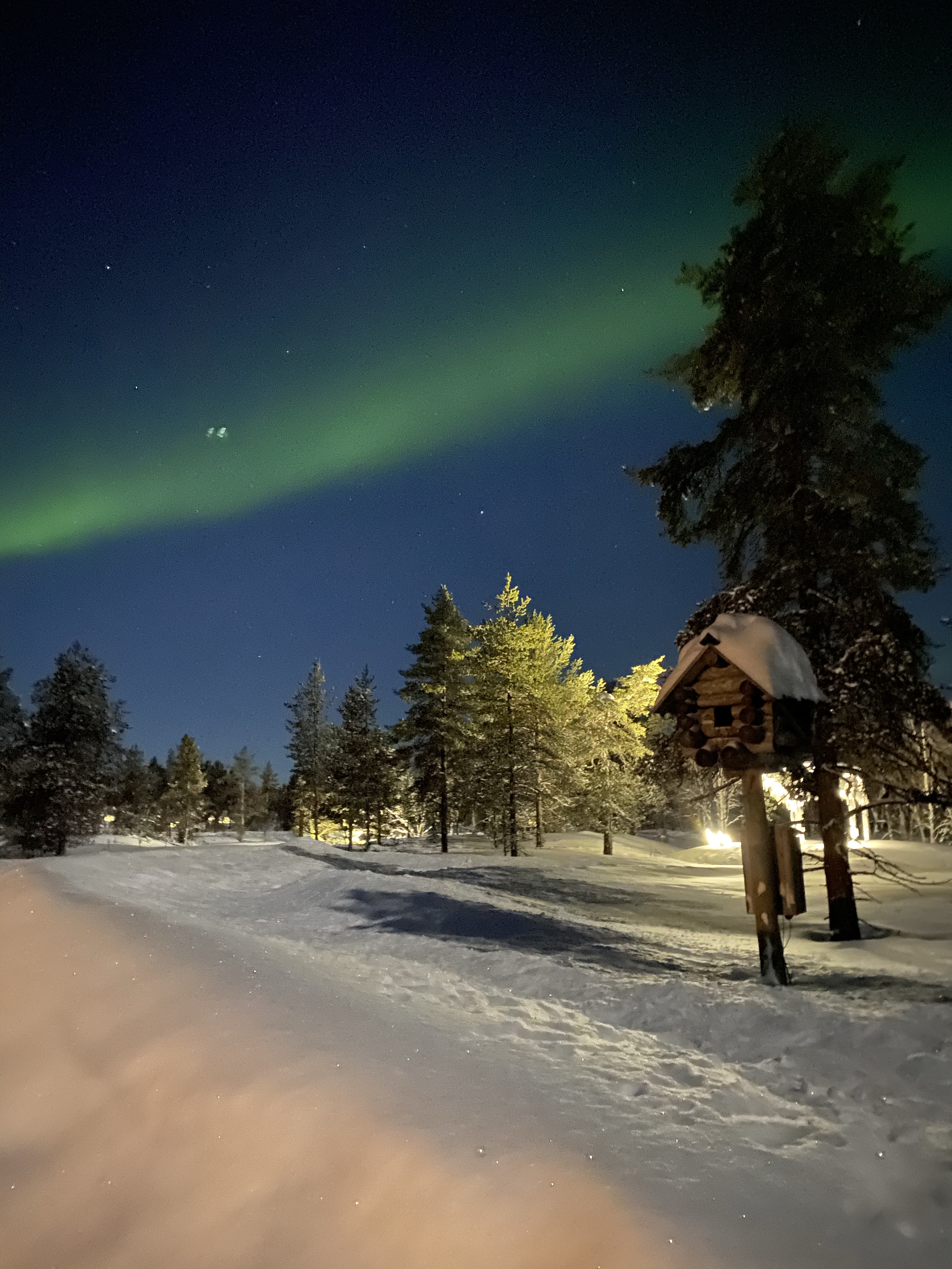 Zorza polarana, aurora borealis, co znaczy, znaczenie, co to jest, zjawisko, znaczenie, przesłanie, mity, legendy, Kolorowe Bogate Soczyste, podróże,kobieca energia, relacje, rozwój osobisty, Malvina Dunder