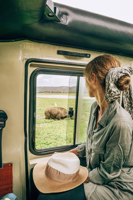 bawół afrykański, biały ibis safari Afryka blog Malvina Dunder