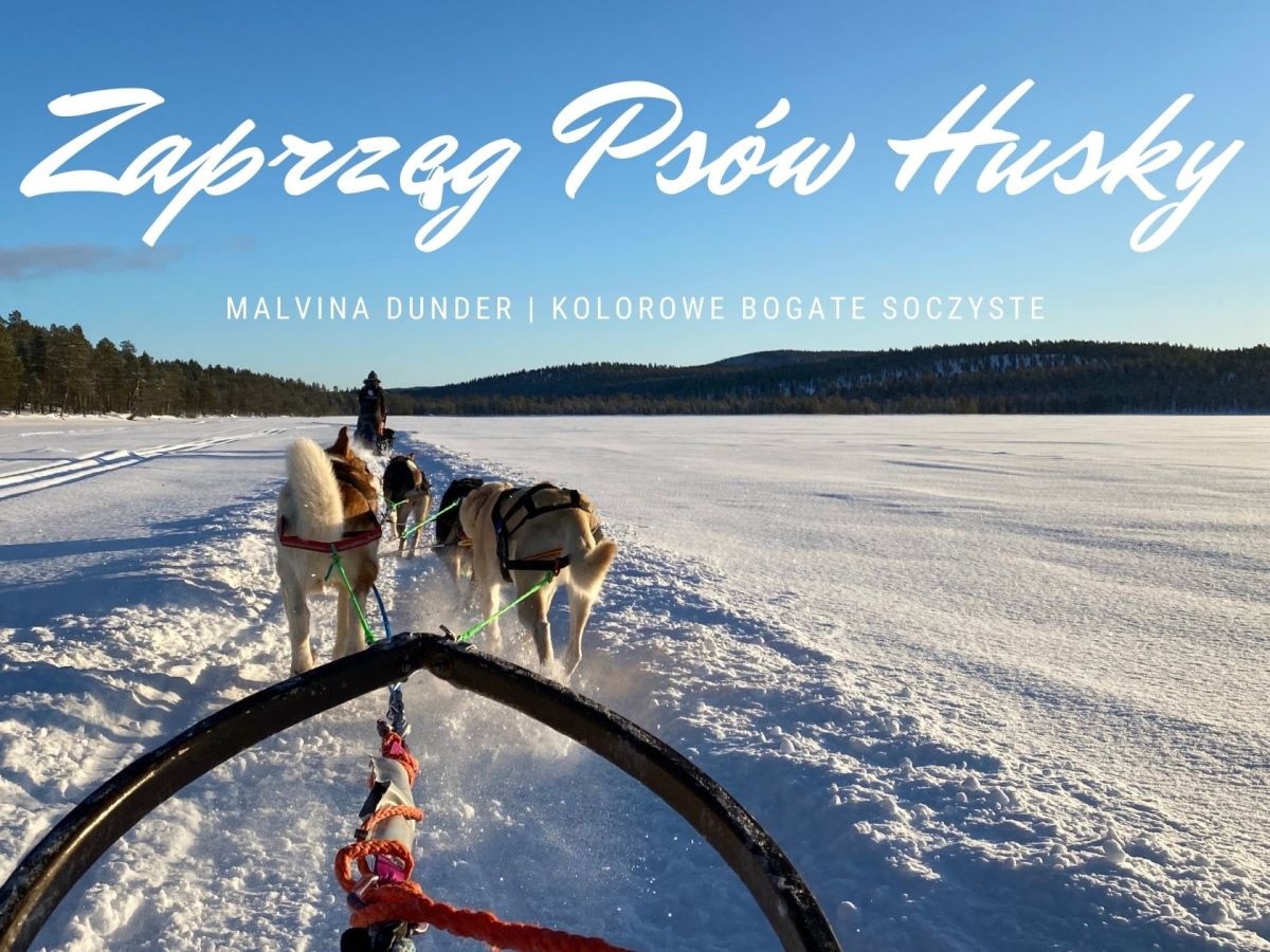 Zwierzę Mocy Husky znaczenie – przewodnik wytrwałości, współpracy i radości&nbsp;działania