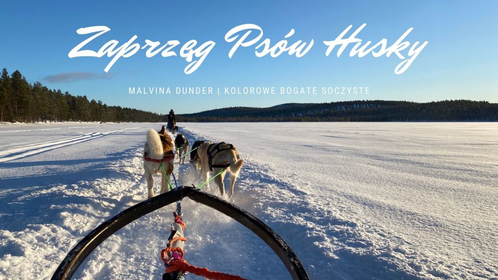 Zwierzę Mocy Husky znaczenie – przewodnik wytrwałości, współpracy i radości&nbsp;działania