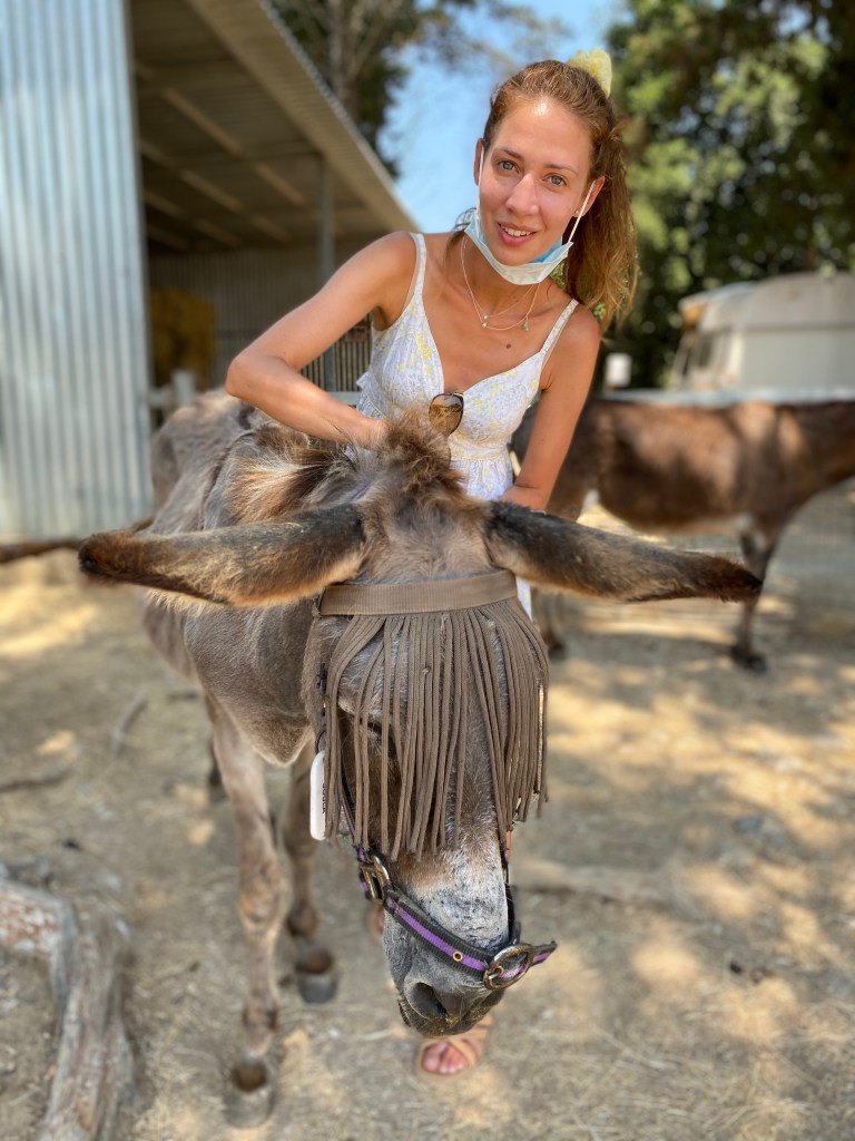 Donkey, sanktuarium schronisko dla osiołków, Korfu, Corfu, Grecja, grecka wyspa, blog podróże, Malvina Dunder