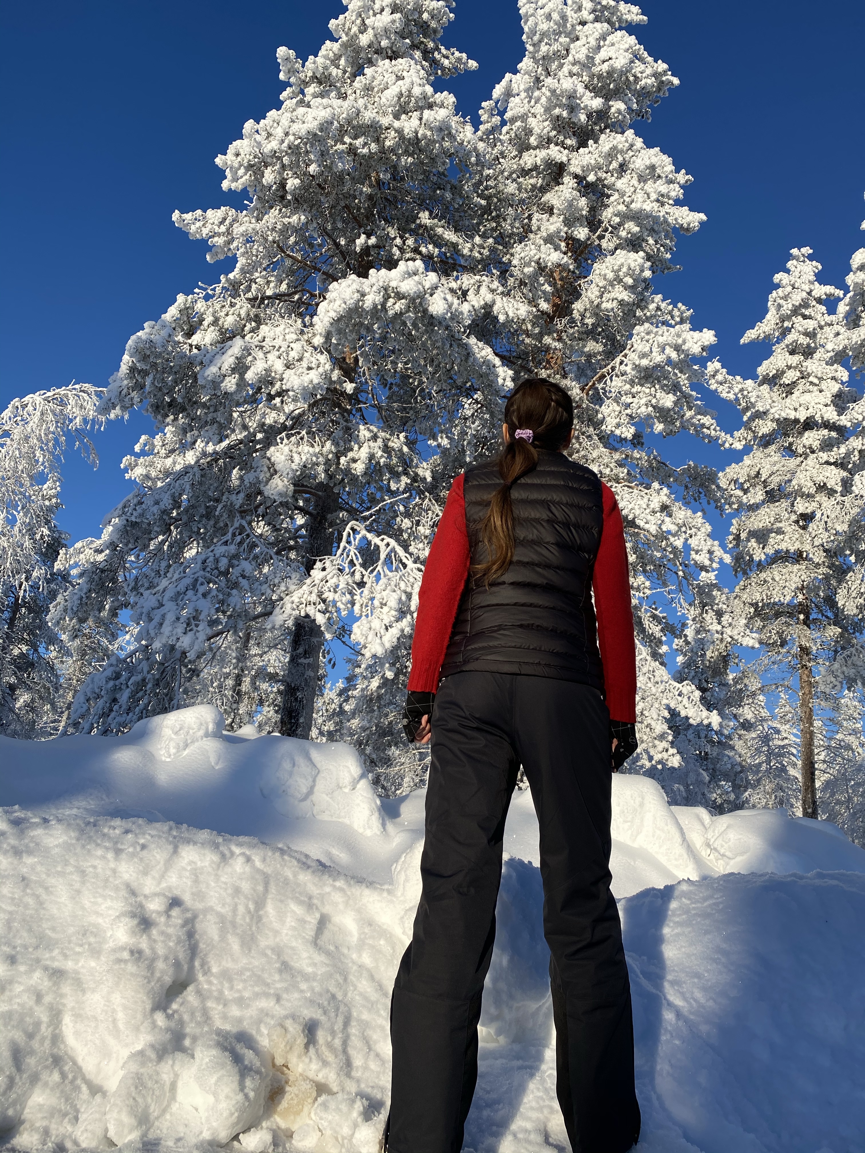 Finlandia, Laponia, podróże, podróż, Kolorowe Bogate Soczyste, podróże,kobieca energia, relacje, rozwój osobisty, Malvina Dunder