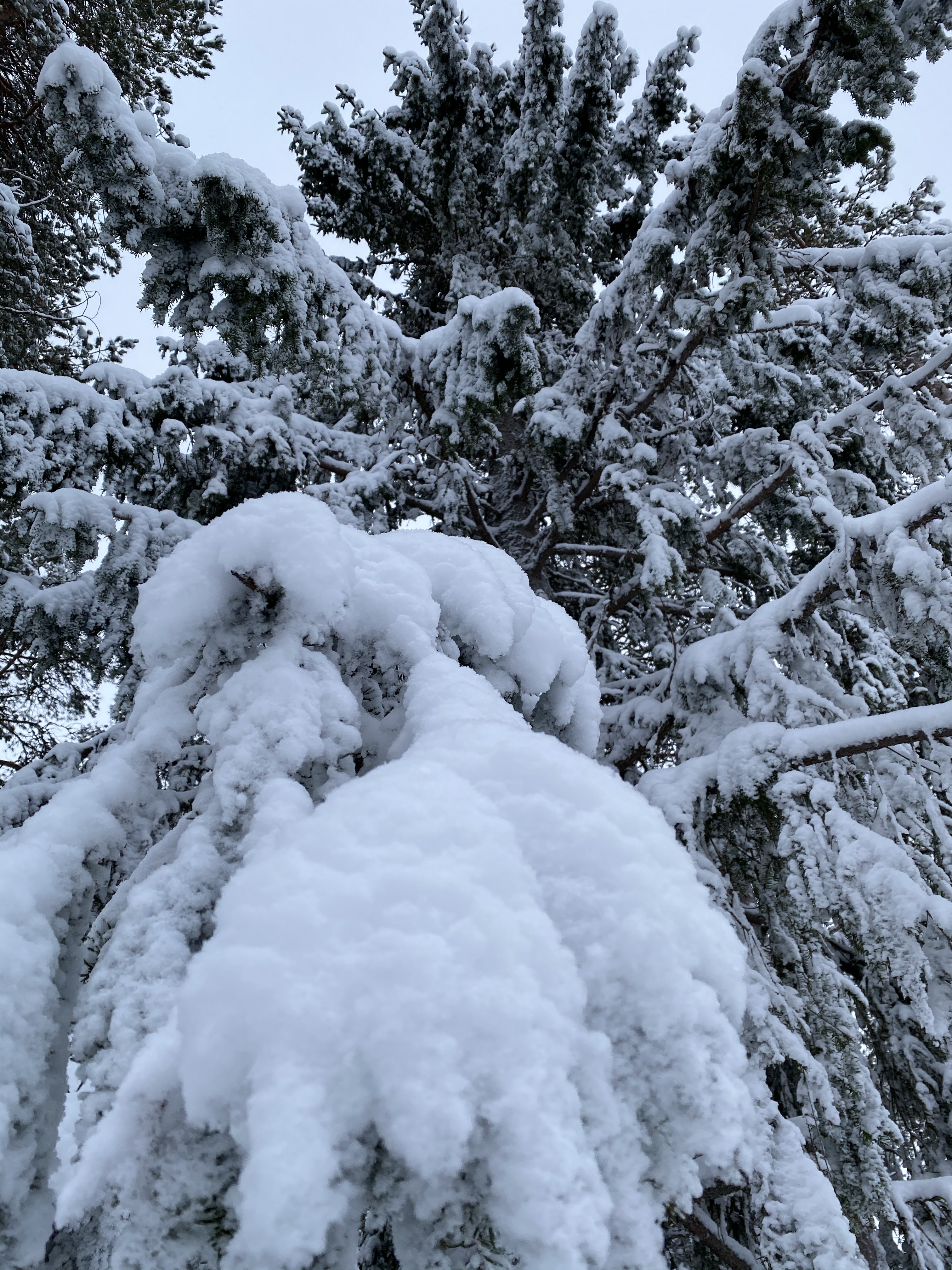 Rovaniemi park Laponia, Finlandia, Kolorowe Bogate Soczyste, podróże, kobieca energia, relacje, rozwój osobisty, Malvina Dunder