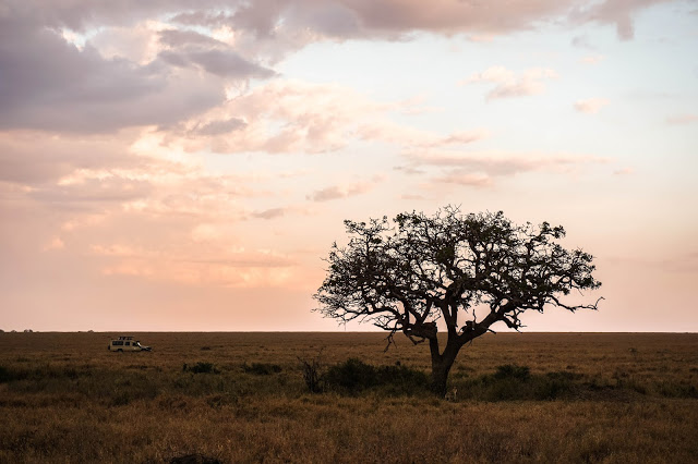 Malvina Dunder blog rozwój osobisty, relacje, podróże Afryka Tanzania safari leopard hiena