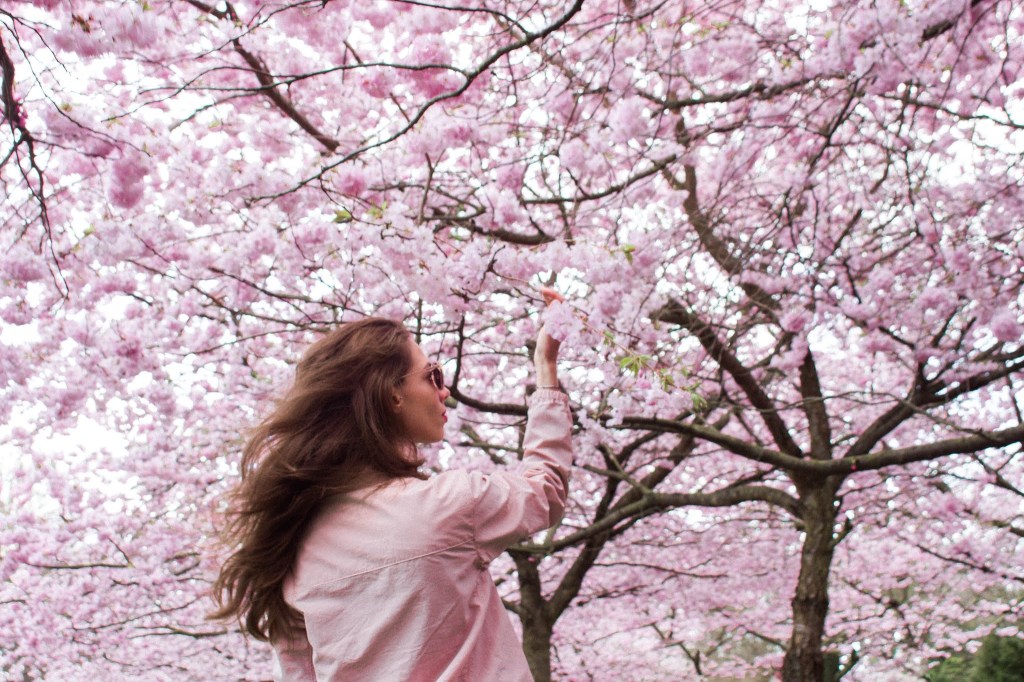 Dania – Zelandia i Kopenhaga: zamki, klify i skandynawski&nbsp;spokój