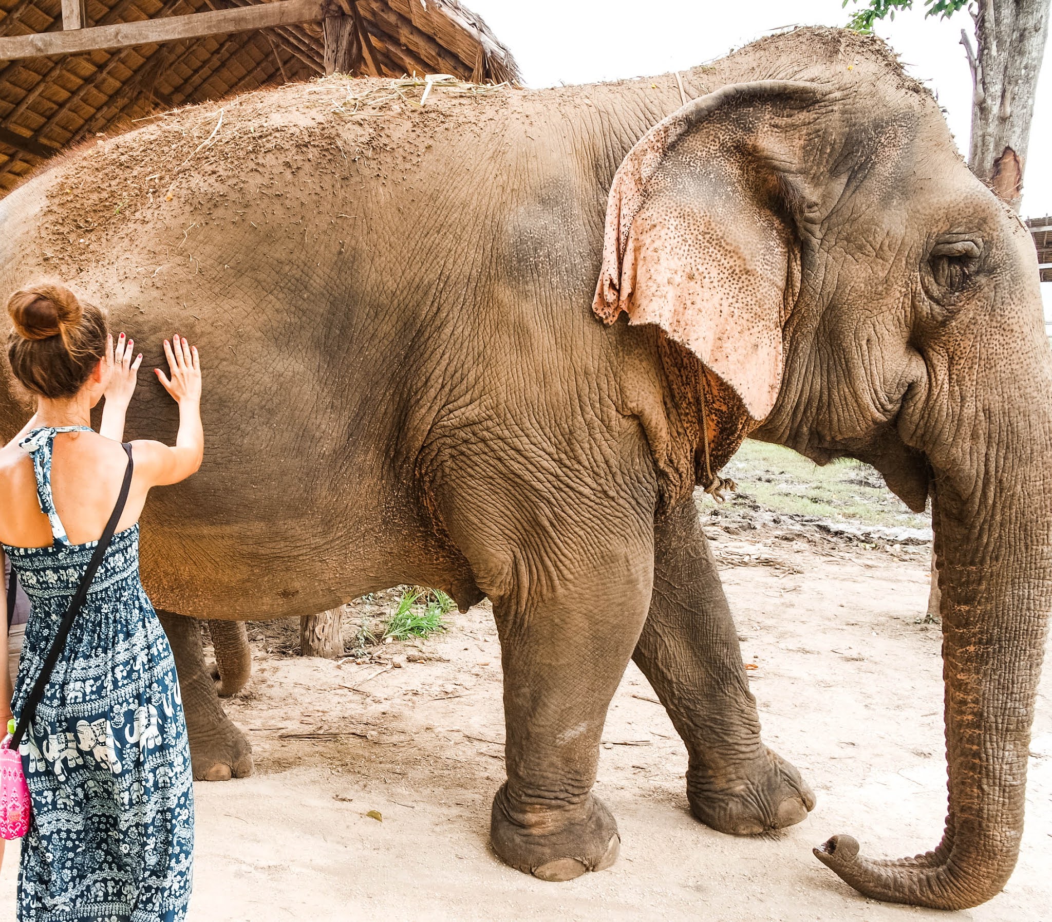 Malvina Dunder blog rozwój osobisty, relacje, podróże Tajlandia Kanchanaburi sanktuarium dla słoni