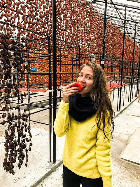 Malvina Dunder blog rozwój osobisty, relacje, podróże Gruzja owoce persymony khaki