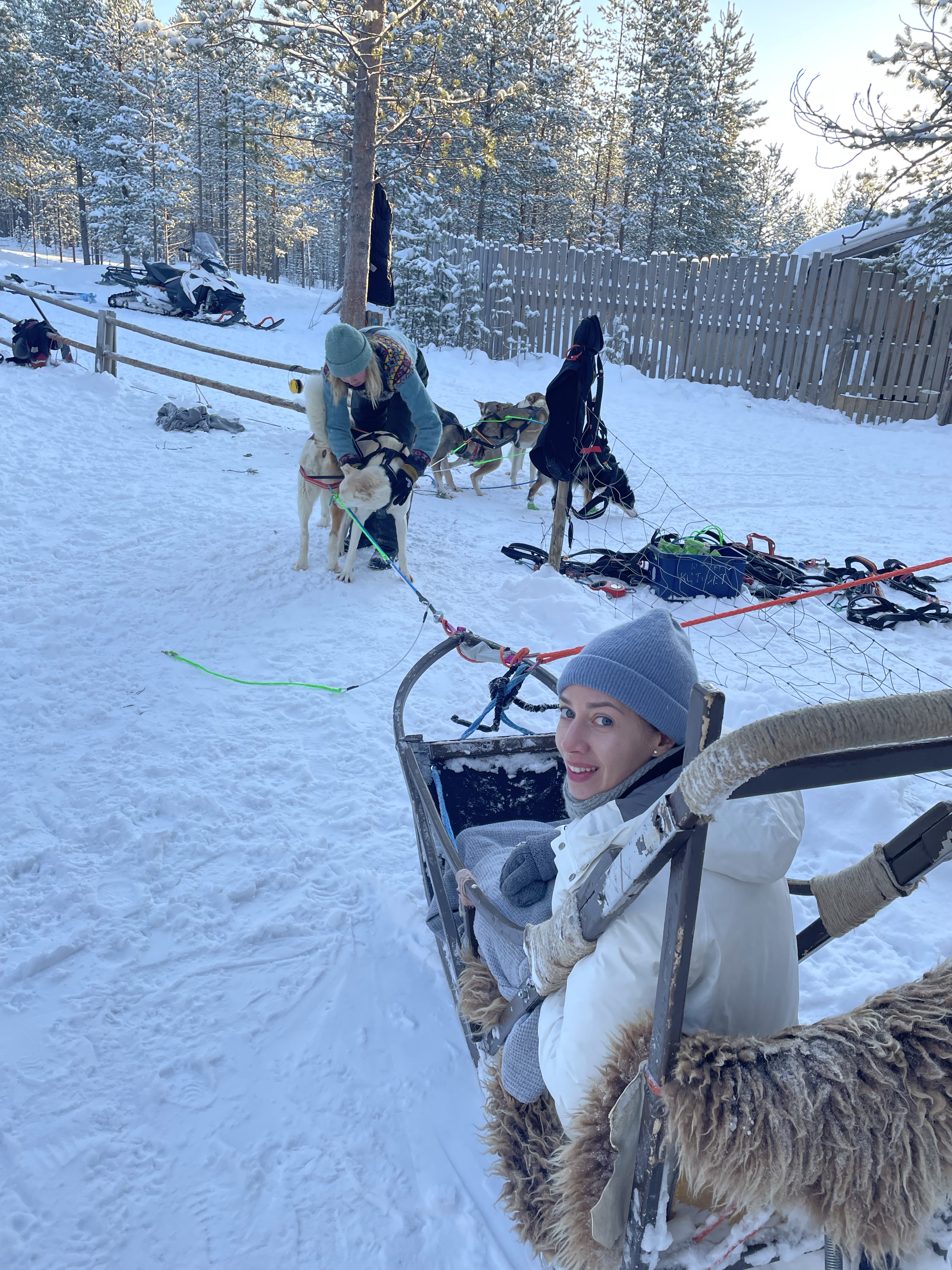 Zaprzęg psi, psów husky, Laponia, Finlandia, atrakcja, atrakcje, sanie, zima, śnieg, zwierzę mocy pies, znaczenie, przesłanie, symbolika, symbol, Kolorowe Bogate Soczyste, podróże, rozwój osobisty, Malvina Dunder