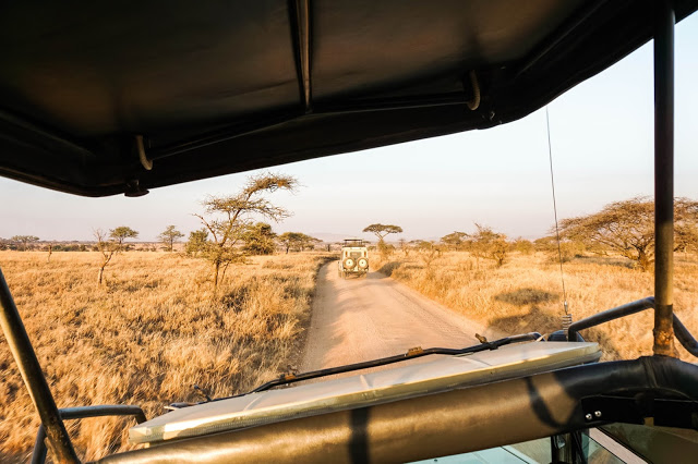 Serengeti Safari Afryka Malvina Dunder blog podróże Serengeti Safari Afryka Malvina Dunder blog podróże