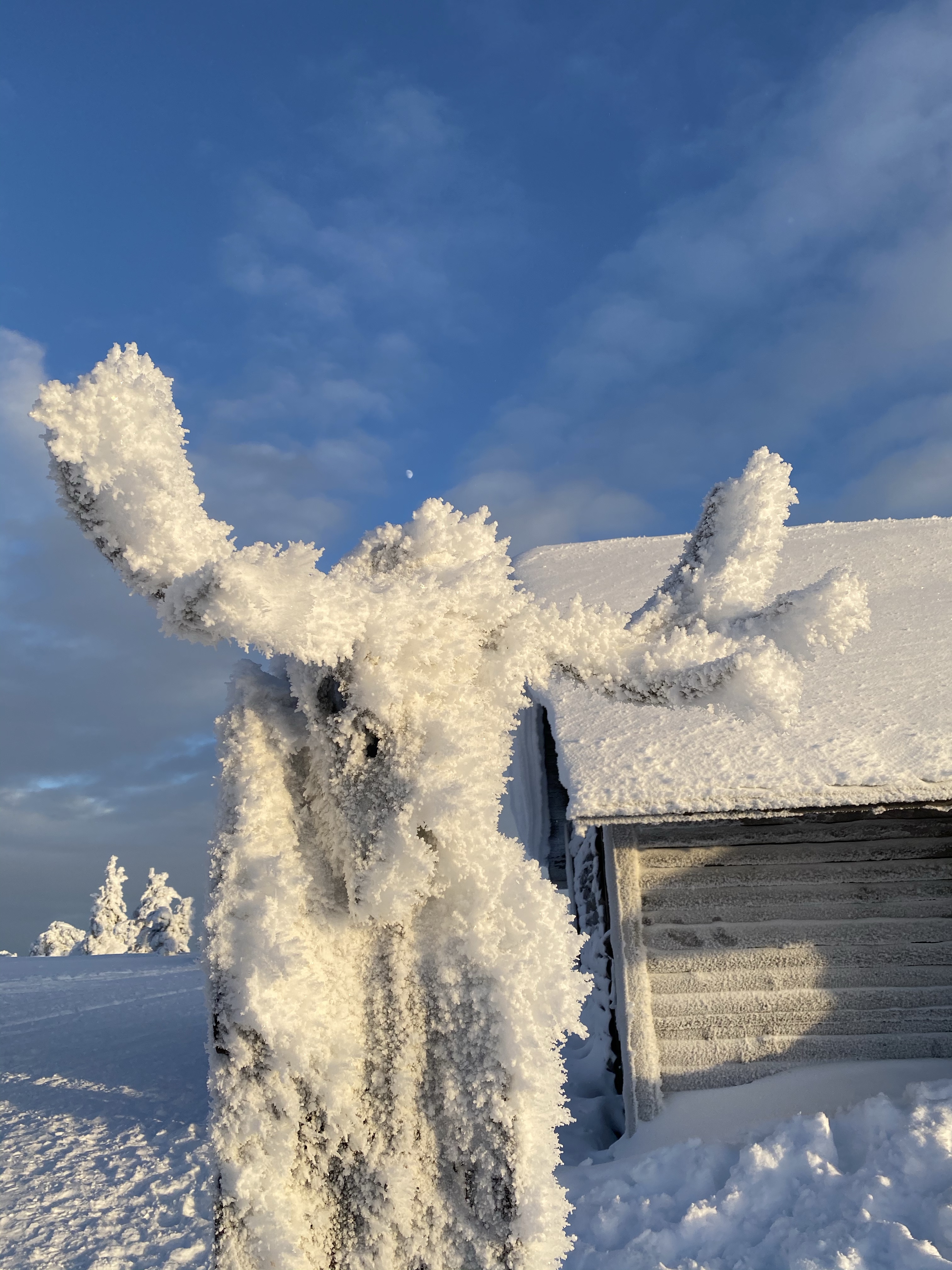 Kopalnia amtetystu Laponia, Finlandia, Arktyczny ametyst, kryształy, Kolorowe Bogate Soczyste, podróże,kobieca energia, relacje, rozwój osobisty, Malvina Dunder, ametyst kamień znaczenie działanie symbol właściwości
