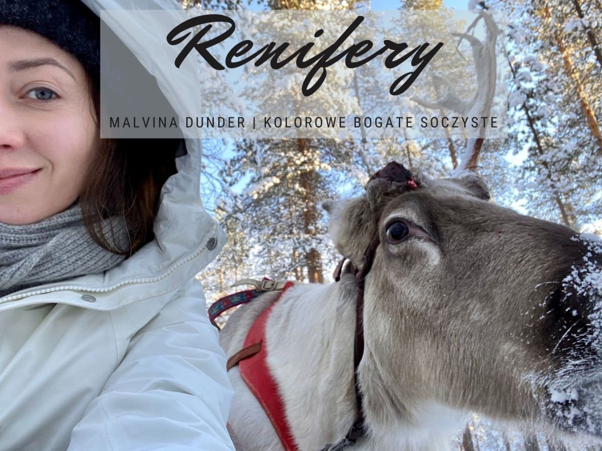 Zwierzę Mocy Renifer znaczenie – król północy i podróżnik, siła wsparcia i&nbsp;wytrzymałości