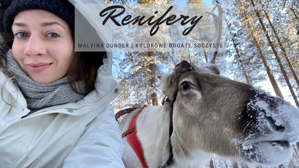 Zwierzę Mocy Renifer znaczenie – król północy i podróżnik, siła wsparcia i&nbsp;wytrzymałości