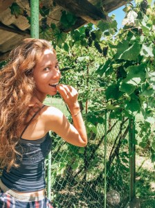 Malvina Dunder blog rozwój osobisty, relacje, podróże Rumunia winnica