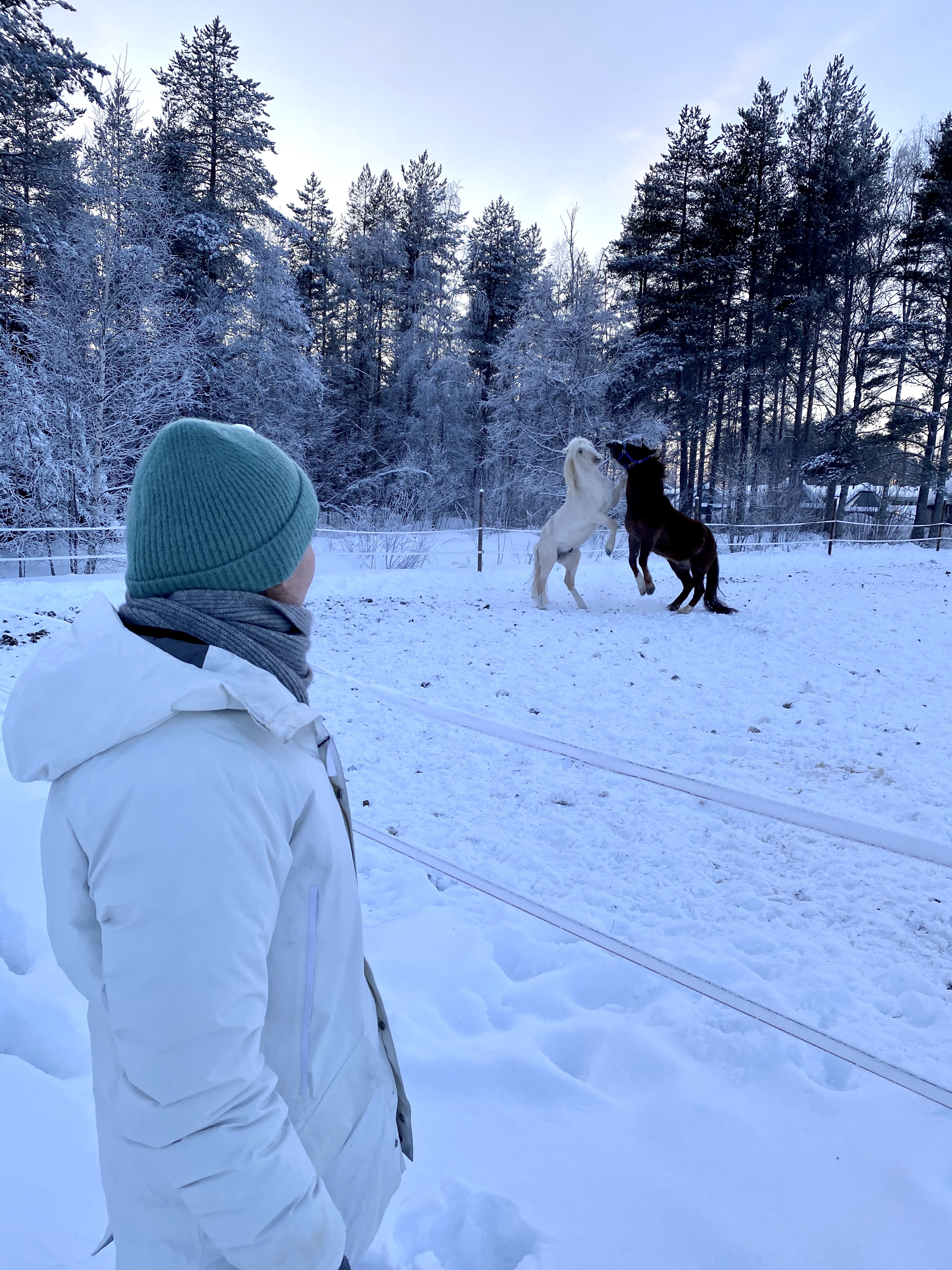 Finlandia, Laponia, podróże, podróż, Kolorowe Bogate Soczyste, podróże,kobieca energia, relacje, rozwój osobisty, Malvina Dunder