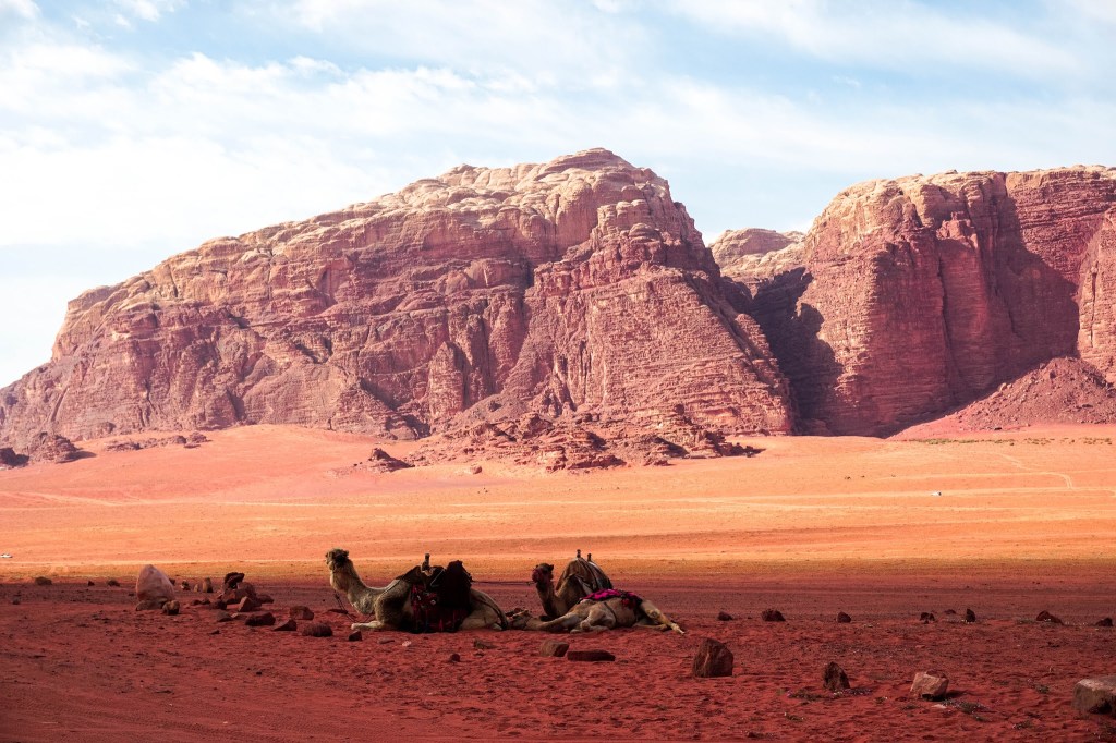 Malvina Dunder blog podróże, rozwój osobisty, relacje, Jordania pustynia Wadi Rum wielbłądy