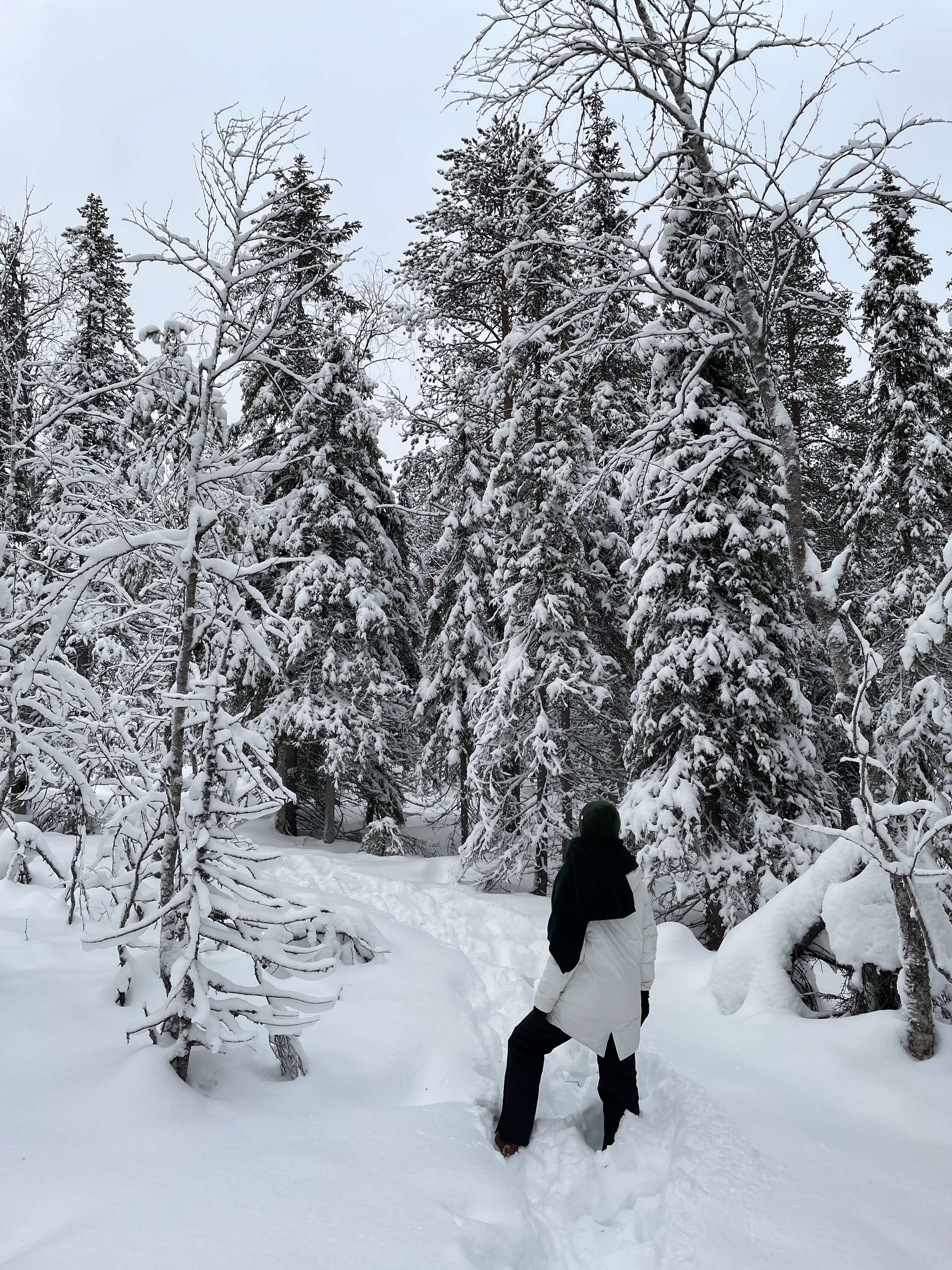 Finlandia, Laponia, podróże, podróż, Kolorowe Bogate Soczyste, podróże,kobieca energia, relacje, rozwój osobisty, Malvina Dunder