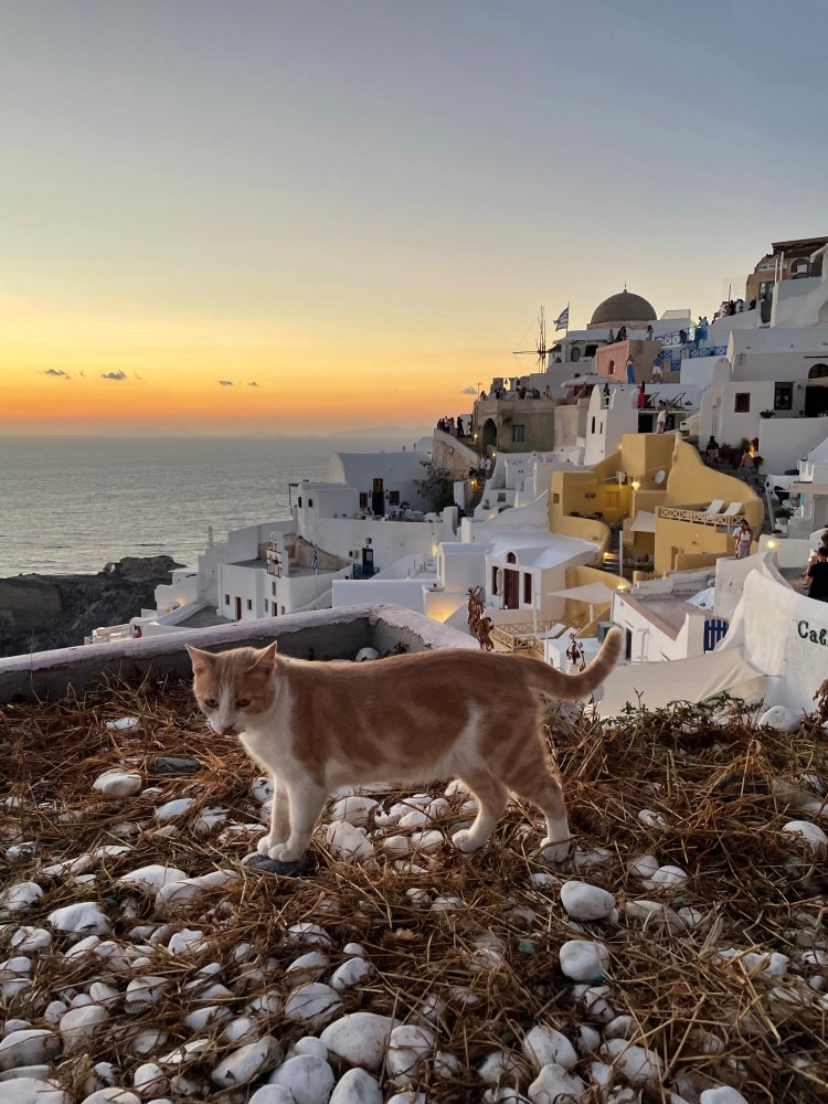 zachód słońca, Oia, Santorini, podróże, kobieca energia, relacje, rozwój osobisty, Malvina Dunder