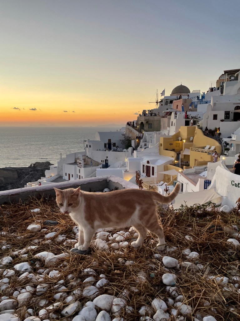 zachód słońca, Oia, Santorini, podróże, kobieca energia, relacje, rozwój osobisty, Malvina Dunder