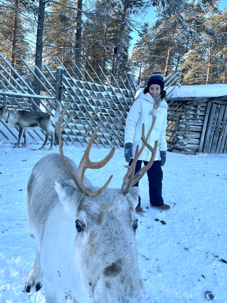 Renifery, renifer, przjażdżka, sanie, Laponia, Finlandia, Zwierzę Mocy Renifer, znaczenie, przesłanie, co to znaczy, symbolika, symbol, Kolorowe Bogate Soczyste, podróże,kobieca energia, relacje, rozwój osobisty, Malvina Dunder (2)