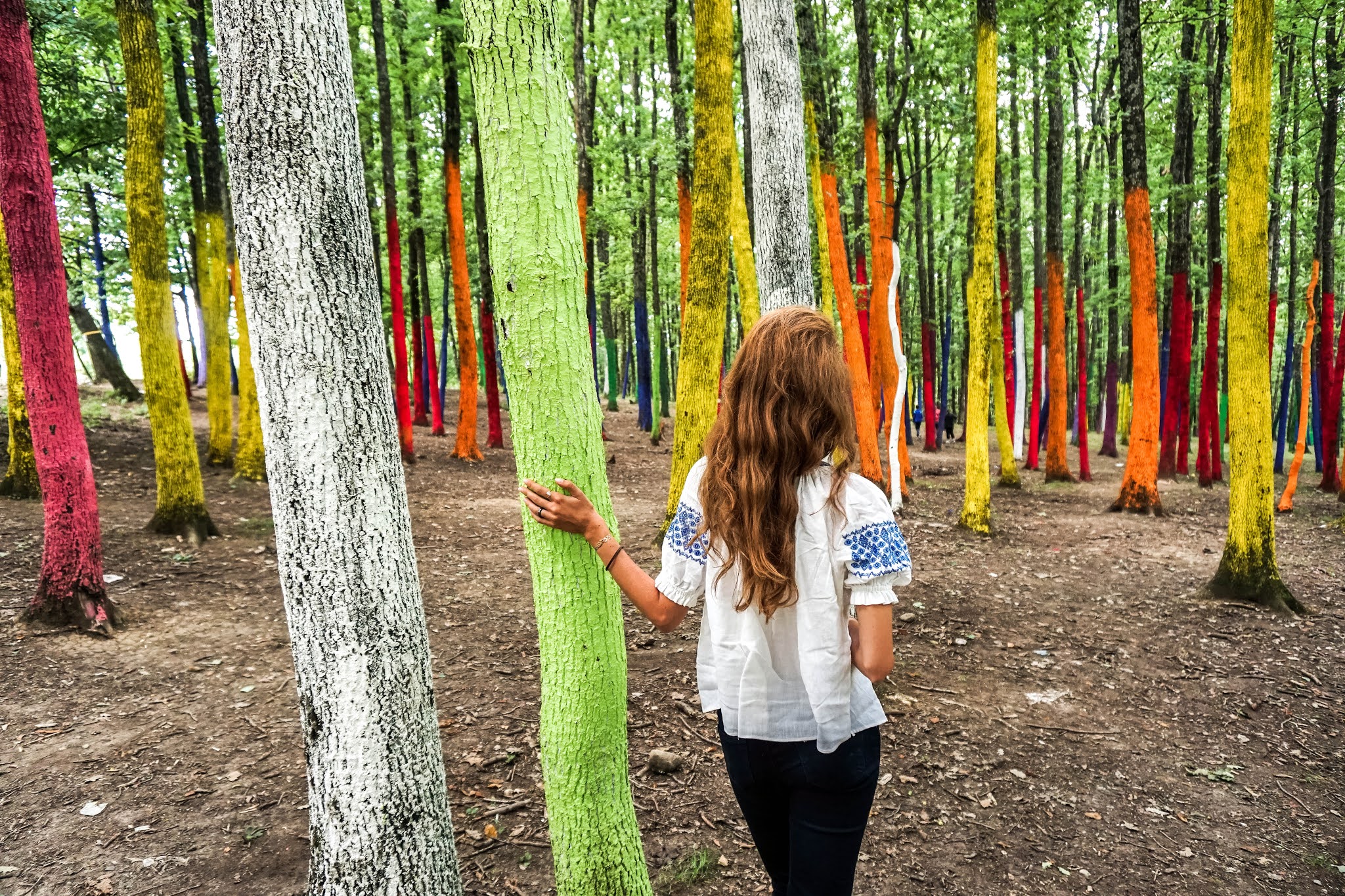 Malvina Dunder blog rozwój osobisty, relacje, podróże Rumunia kolorowy las Dumbrava w pobliżu Poienari