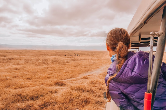 Safari Serengeti Afryka Tanzania Malvina Dunder