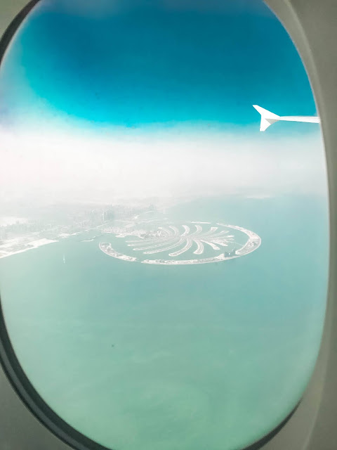 Dubaj wyspa w kształcie palmy Malvina Dunder