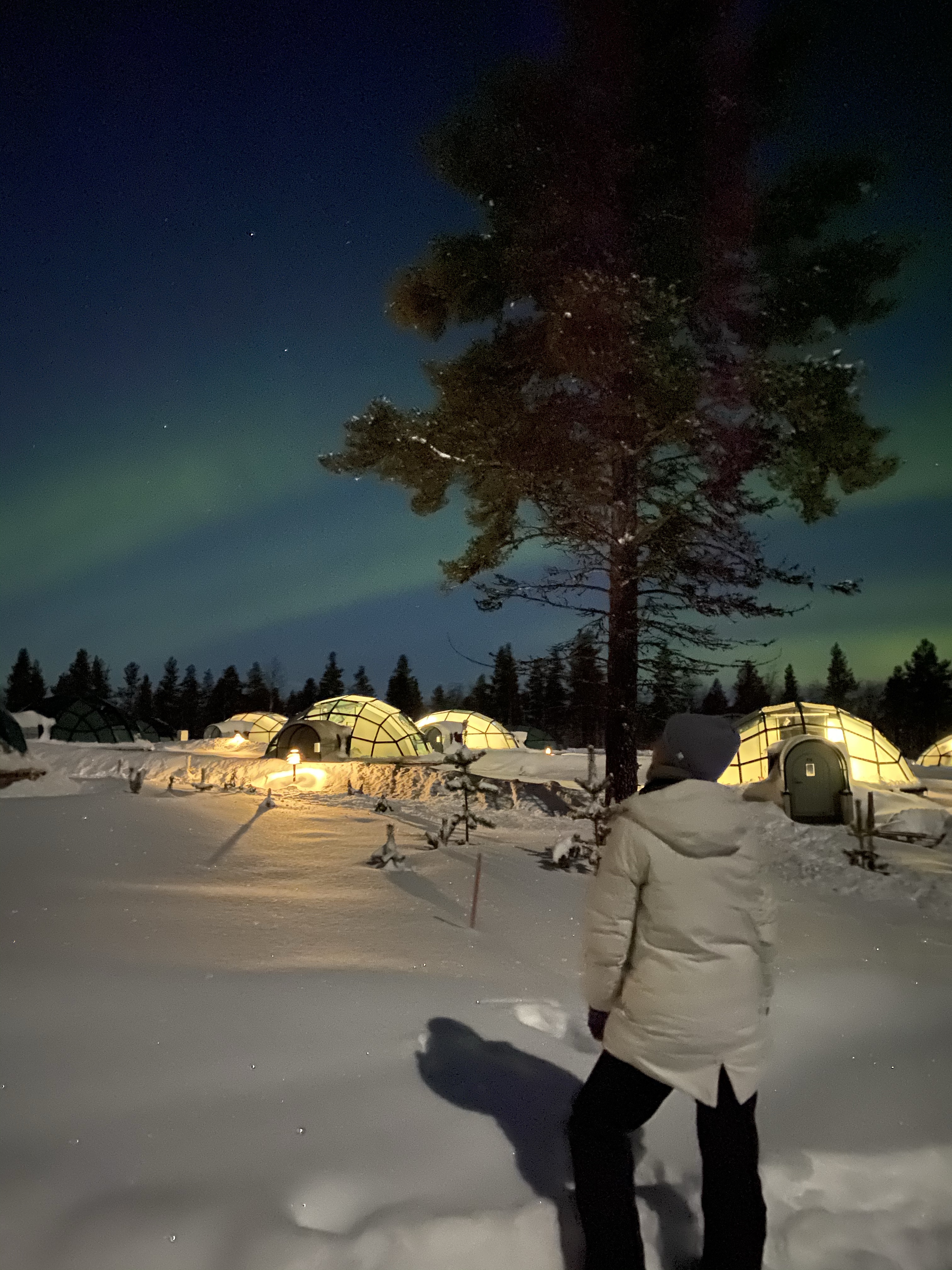 Zorza polarana, aurora borealis, co znaczy, znaczenie, co to jest, zjawisko, znaczenie, przesłanie, mity, legendy, Kolorowe Bogate Soczyste, podróże,kobieca energia, relacje, rozwój osobisty, Malvina Dunder