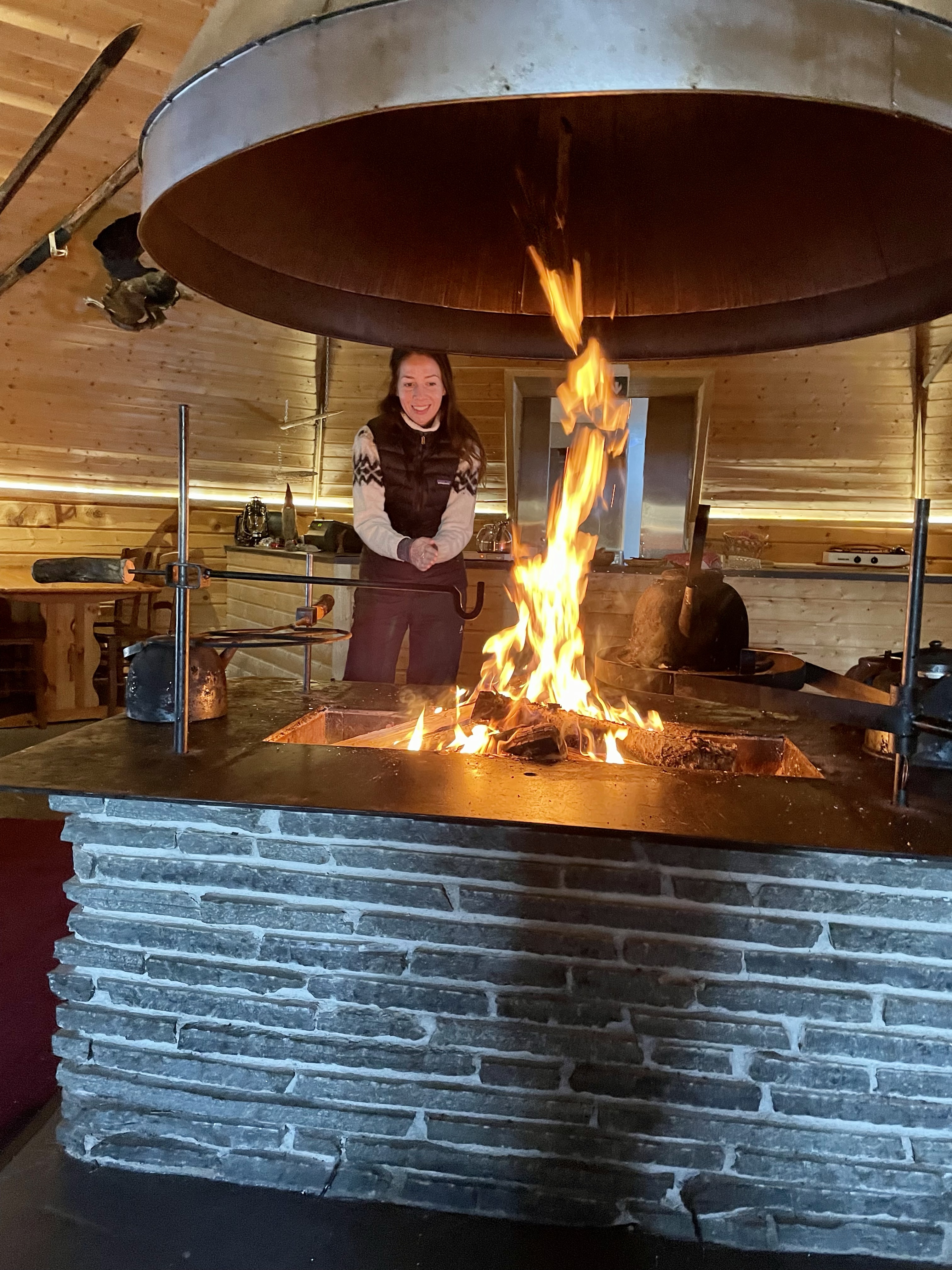 Renifery, renifer, przjażdżka, sanie, Laponia, Finlandia, Zwierzę Mocy Renifer, znaczenie, przesłanie, co to znaczy, symbolika, symbol, Kolorowe Bogate Soczyste, podróże,kobieca energia, relacje, rozwój osobisty, Malvina Dunder (2)