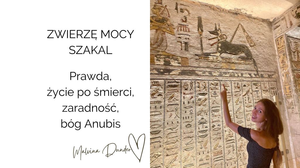 Zwierzę Mocy Szakal znaczenie i symbolika – tajemnice, przejście i spryt&nbsp;duchowy