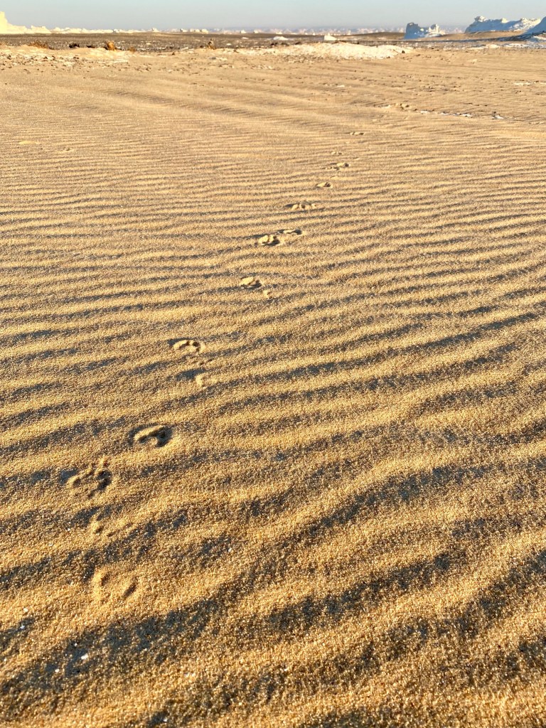 Egipt, biała pustynia, Malvina Dunder