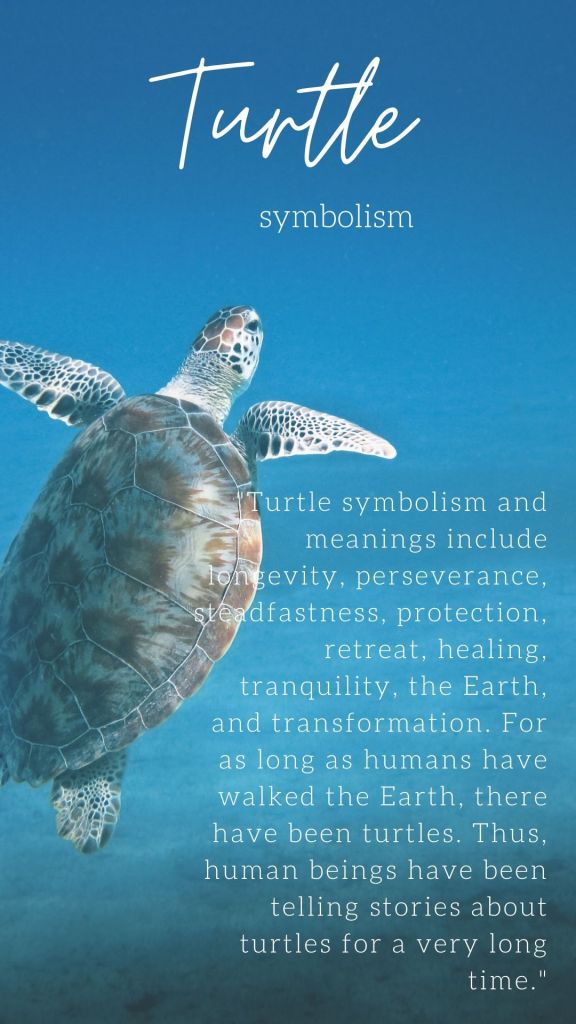 Zakynthos, trip, travel, Greece, Malvina Dunder