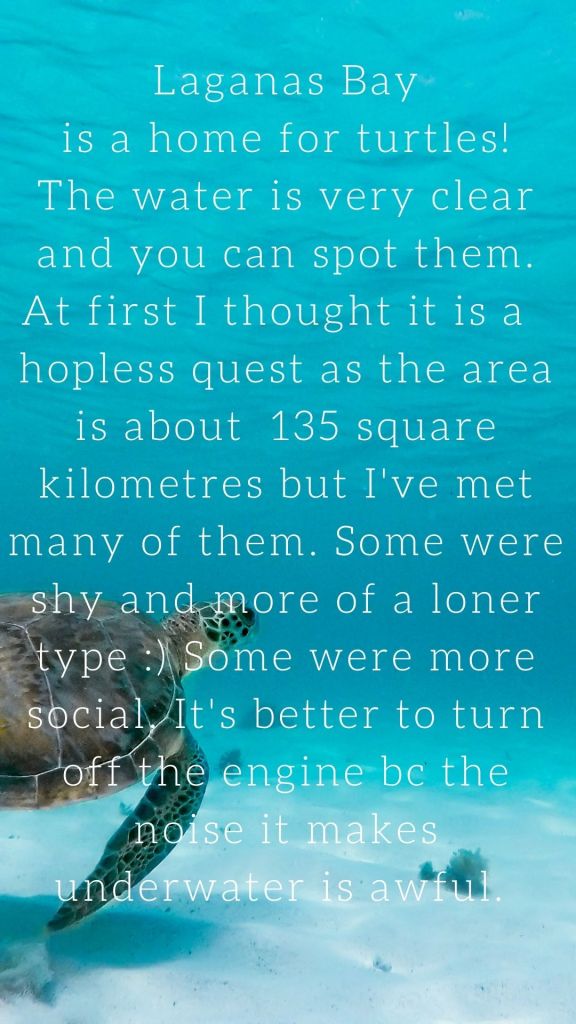 Zakynthos, trip, travel, Greece, Malvina Dunder