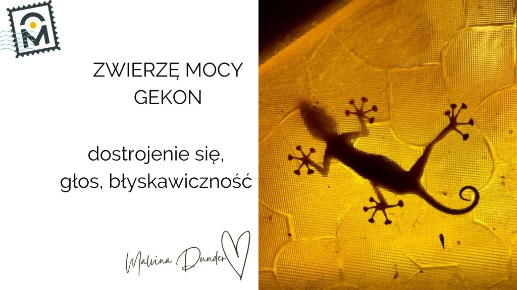 Zwierzę Mocy Gekon znaczenie – adaptacja, transformacja i szybka&nbsp;reakcja