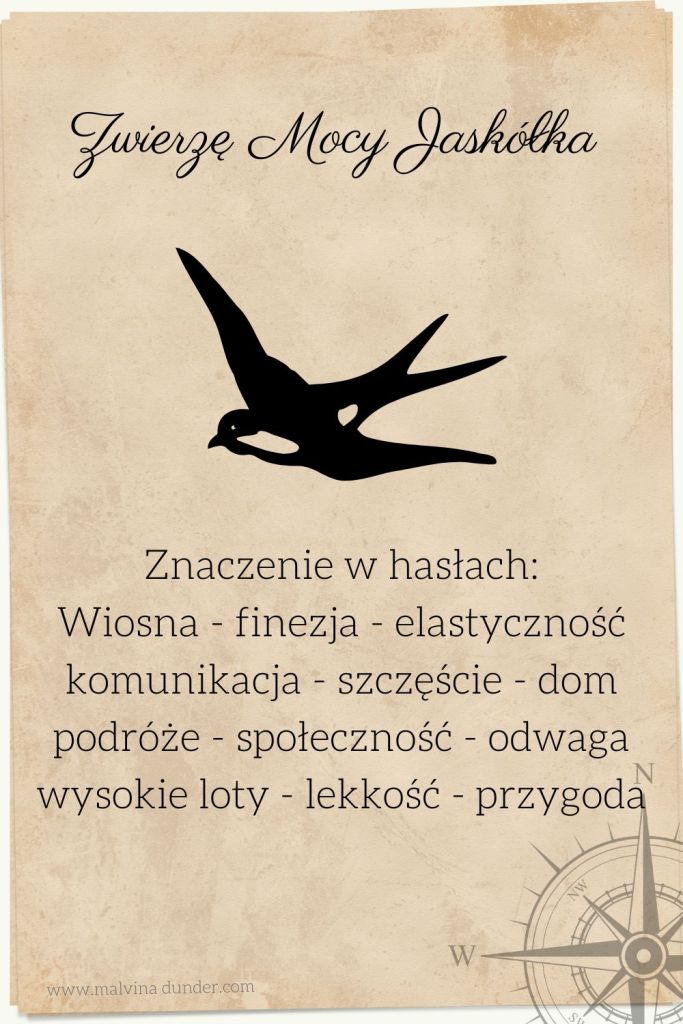 Jaskółka Zwierzę Mocy, znaczenie symbolika przesłanie, Malvina Dunder