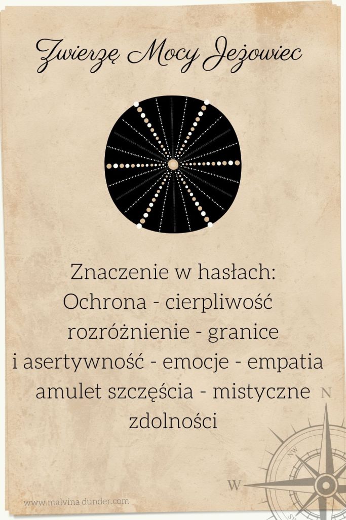 Jeżowiec, jeż morski, Zwierzę Mocy grafiki pin mniejszy wymiar