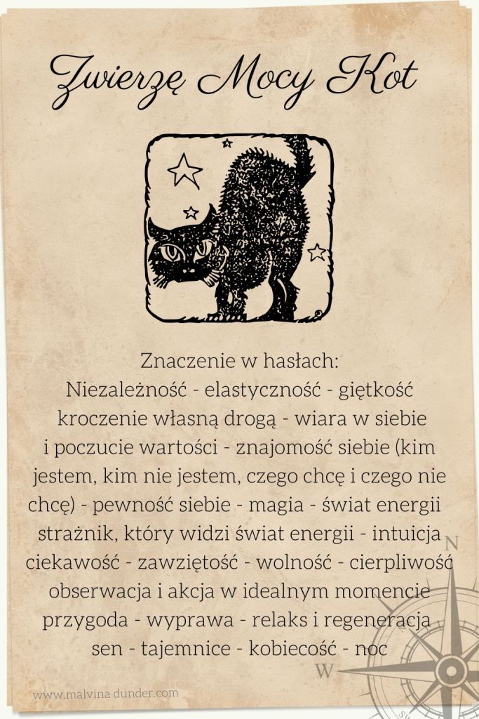 Kot Zwierzę Mocy, znaczenie symbolika przesłanie, Malvina Dunder