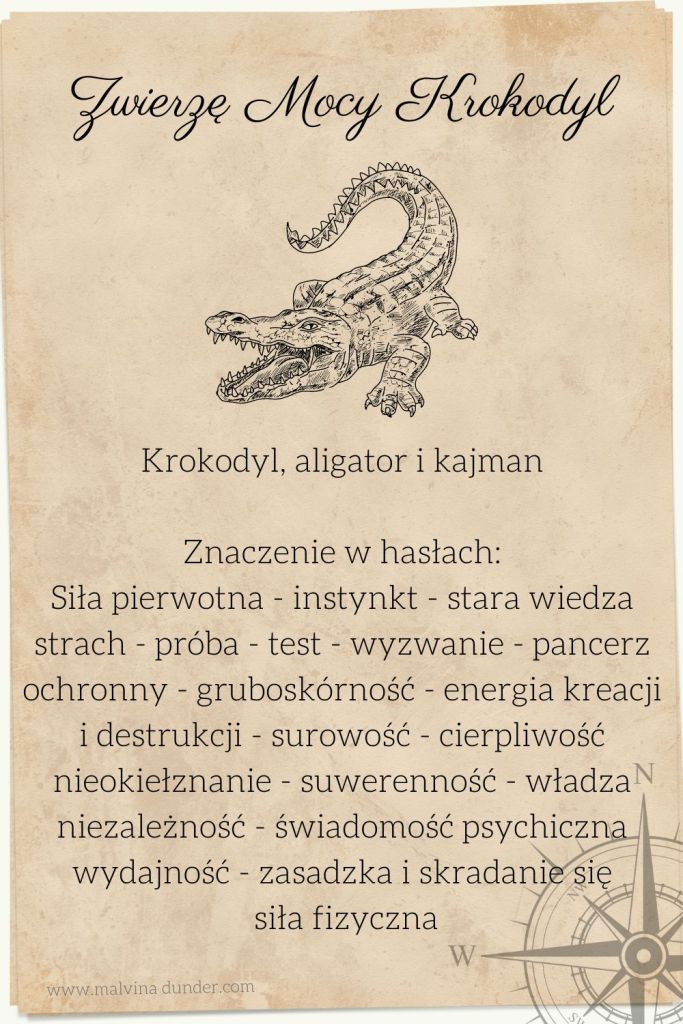 Krokodyl, aligator, kajman, Zwierzę Mocy, znaczenie symbolika przesłanie, Malvina Dunder