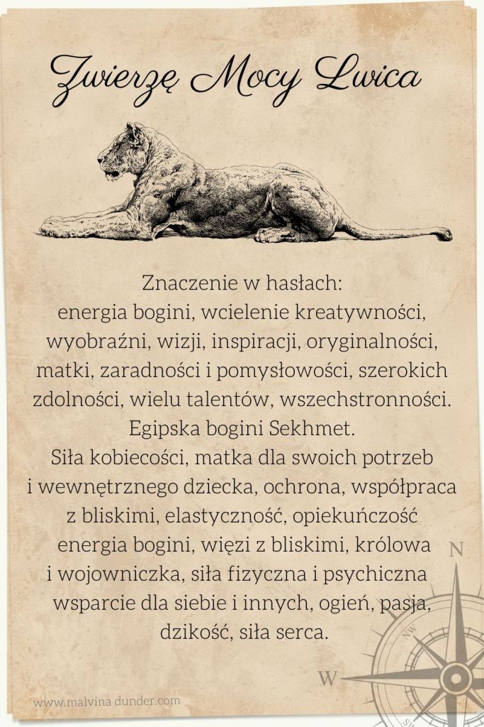 Lwica Zwierzę Mocy, znaczenie symbolika przesłanie, Malvina Dunder
