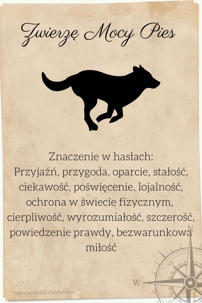 Pies Zwierzę Mocy, znaczenie symbolika przesłanie, Malvina Dunder