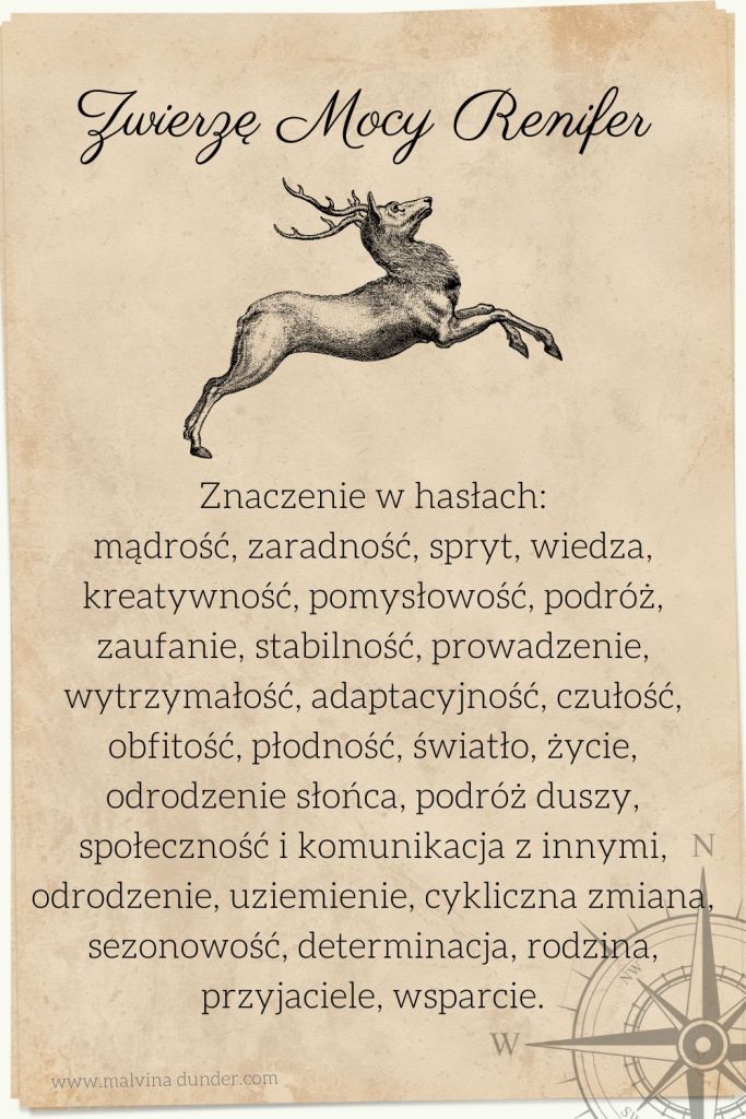 Renifer Zwierzę Mocy, znaczenie symbolika przesłanie, Malvina Dunder