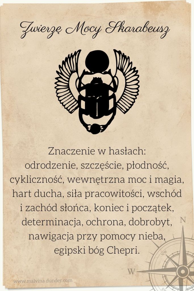 Skarabeusz Zwierzę Mocy, znaczenie symbolika przesłanie, Malvina Dunder