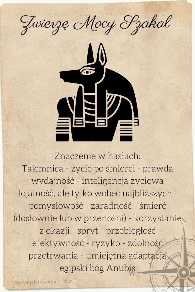 Szakal Zwierzę Mocy, znaczenie symbolika przesłanie, Malvina Dunder