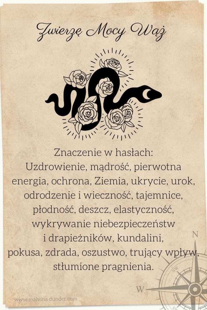 Wąż Zwierzę Mocy, znaczenie symbolika przesłanie, Malvina Dunder