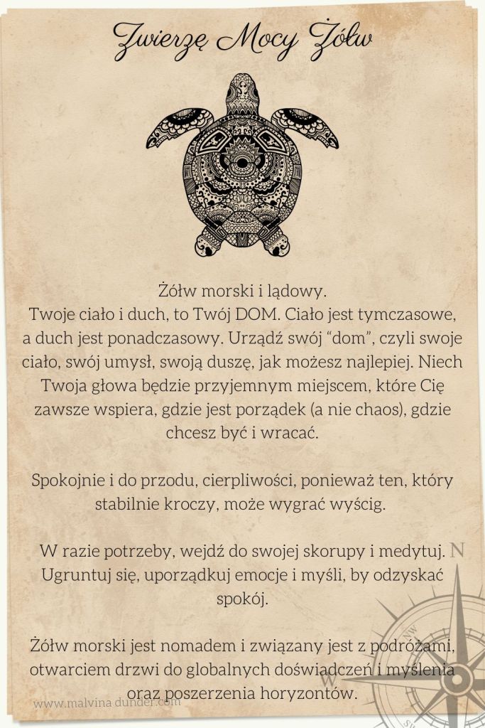 żółw lądowy, morski, Zwierzę Mocy, Malvina Dunder