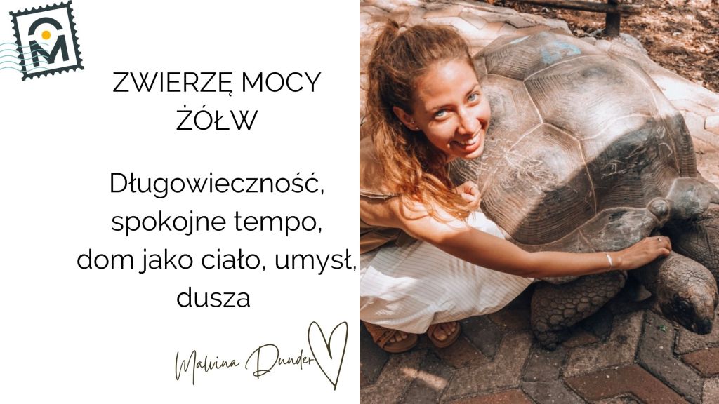 Zwierzę Mocy Żółw (lądowy i morski) znaczenie – mądrość, spokój, długowieczność,&nbsp;ochrona