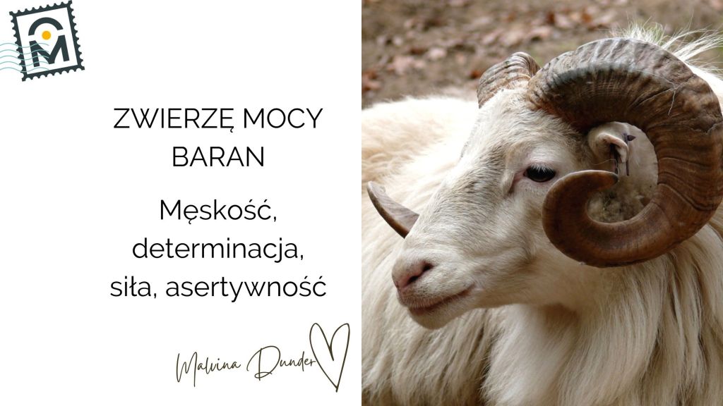 Zwierzę Mocy Baran znaczenie – duch akcji, siły i męskiej&nbsp;odwagi