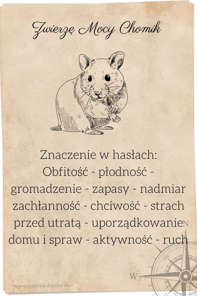 chomik Zwierzę Mocy, znaczenie symbolika przesłanie, Malvina Dunder