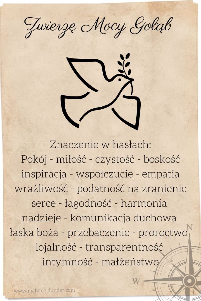 gołąb Zwierzę Mocy, znaczenie symbolika przesłanie, Malvina Dunder