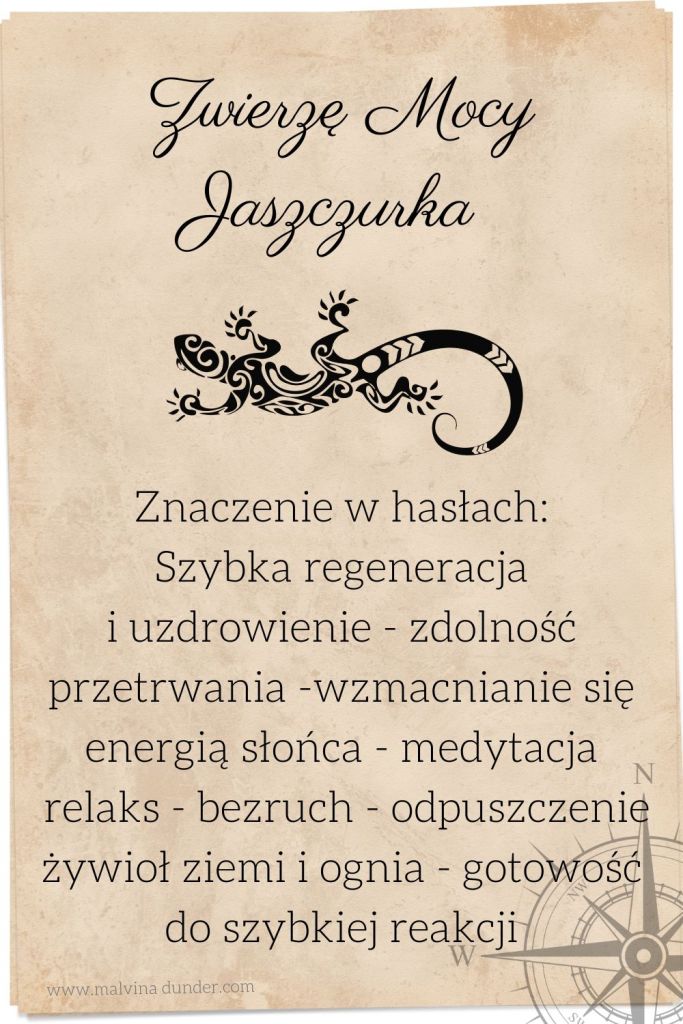 jaszczurka Zwierzę Mocy, znaczenie symbolika przesłanie, Malvina Dunder